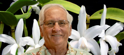 St. Augustine Orchid Society - North Florida Orchid Growing