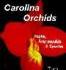 Carolina Orchids