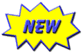 What's New on the Website