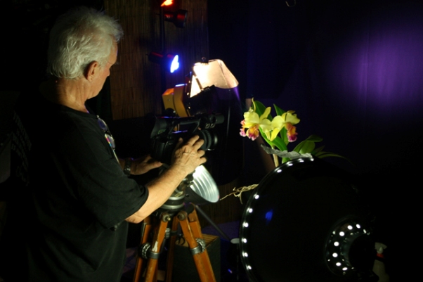 Photographs of SAOS Events