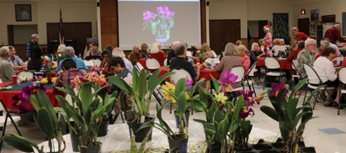 Monthly SAOS Meeting