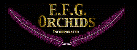 EFG Orchids