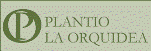 Plantio La Orquidea