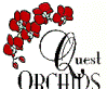 Quest Orchids