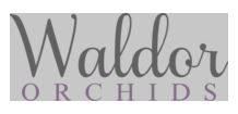 Waldor Orchids