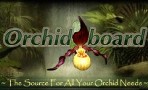 Orchid Board